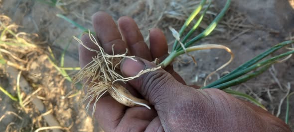 السلام عليكم ورحمة الله وبركاته
ممكن اعرف سبب المرض و الإصابة